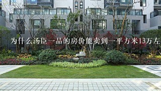 为什么汤臣1品的房价能卖到1平方米13万左右？