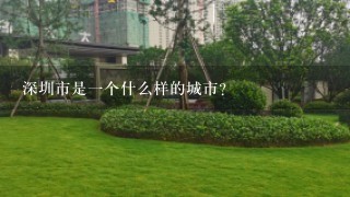 深圳市是1个什么样的城市？