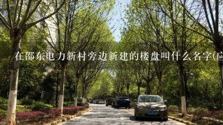 在邵东电力新村旁边新建的楼盘叫什么名字(应该是昭阳公园、国土局那边)，貌似是6栋楼