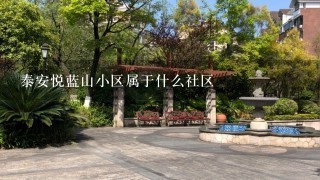 泰安悦蓝山小区属于什么社区