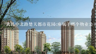 武昌中北路楚天都市花园c座属于哪个物业公司