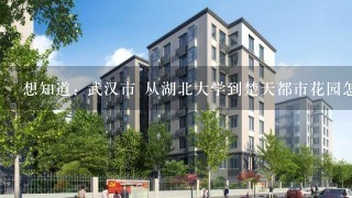 想知道: 武汉市 从湖北大学到楚天都市花园怎么坐公交