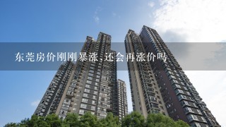 东莞房价刚刚暴涨,还会再涨价吗