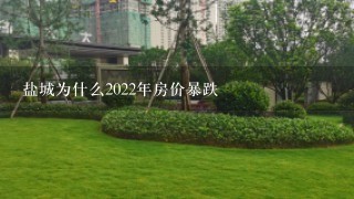 盐城为什么2022年房价暴跌