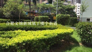 合肥文锦新城属于哪个街道