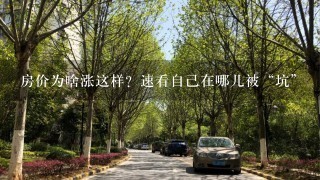 房价为啥涨这样？速看自己在哪儿被“坑”