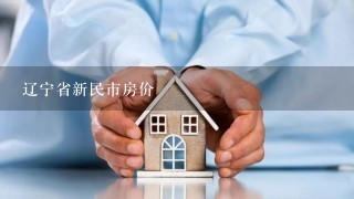 辽宁省新民市房价