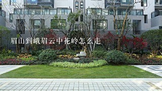 眉山到峨眉云中花岭怎么走