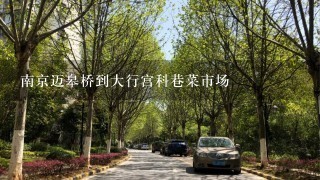 南京迈皋桥到大行宫科巷菜市场