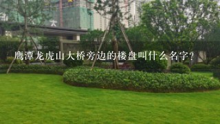 鹰潭龙虎山大桥旁边的楼盘叫什么名字？