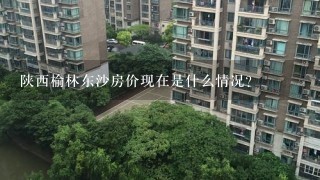 陕西榆林东沙房价现在是什么情况？