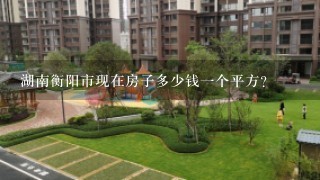 湖南衡阳市现在房子多少钱1个平方？