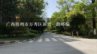 广西梧州市万秀区新兴1路邮编