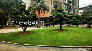 丁桥大唐城建成时间