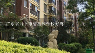 广东省开平市碧桂园学校好吗