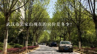 武汉市吴家山现在的房价是多少？