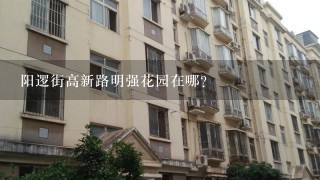 阳逻街高新路明强花园在哪？