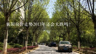 襄阳房价走势2013年还会大跌吗？