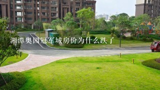 湘潭奥园冠军城房价为什么跌了