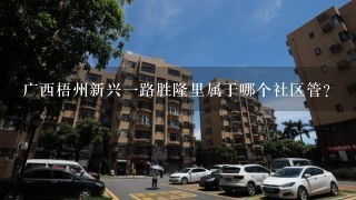 广西梧州新兴1路胜隆里属于哪个社区管?