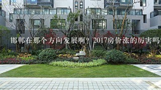 邯郸在那个方向发展啊？2017房价涨的厉害吗？