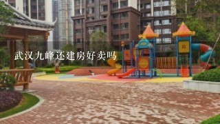 武汉9峰还建房好卖吗