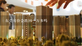 东莞房价会跌回1万多吗