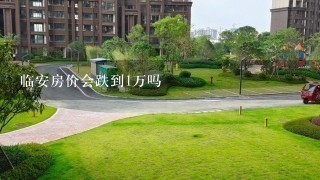 临安房价会跌到1万吗