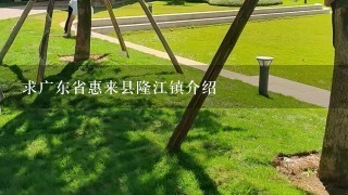 求广东省惠来县隆江镇介绍