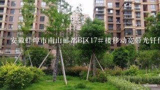 安徽蚌埠市南山郦都B区17#楼移动宽带光钎什么时候能通啊？