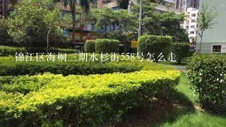 锦江区海桐3期水杉街558号怎么走