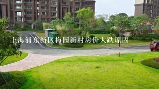 上海浦东新区梅园新村房价大跌原因