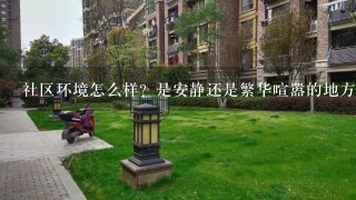 社区环境怎么样？是安静还是繁华喧嚣的地方？