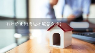 石坪桥正街周边环境怎么样？