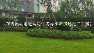 在梅溪湖附近购房你考虑买新房还是二手房