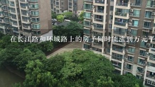在长江路和环城路上的房子何时能涨到万元平米的价格呢